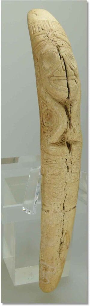 Caraïbes - Taino - Spatule vomitive en os  - 14ème-17ème siècle ap. J.-C.