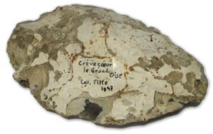 Acheuléen (400 000 av. notre ére) - Grand biface Coll. P. Fitte