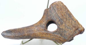 Néolithique - Pioche en bois de cerf