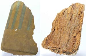 Egypte - Basse époque - Fragment de sarcophage en bois - 633-332 av. J.-C. (26-30ème dynastie)