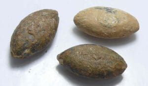 Romain - Lot de 3 balles de fronde en plomb - 100/300