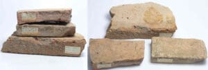 Romain - Lot de 3 briques "Ostia Antiqua" - 0/200
