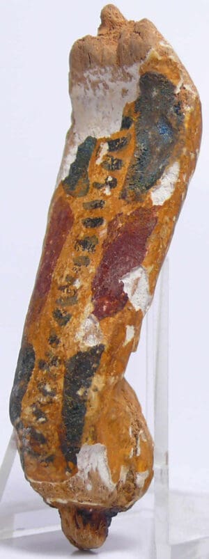 Egypte - Epoque ptolémaïque - Uraeus en bois - 332-30 av. J.-C.