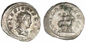 Valérien II - Antoninien (257/258, Cologne) Chèvre