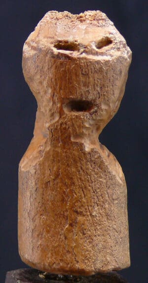Alaska - Détroit de Béring - Civilisation Thulle - Buste en os fossile - 1300 / 1700 ap. J.-C.