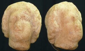 Grèce - Tête en marbre - 300 / 200 av. J;-C.