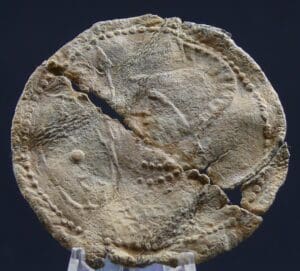 Grèce - Médaillon en plomb - 400 / 200 av. J.C.