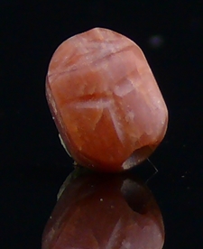 Egypte - Basse époque - Scarabée en cornaline - 633-332 av. J.-C. - (26-30ème dynastie)