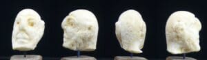 Sumérien - Tête en calcite - 2000 / 1500 av. J.-C.