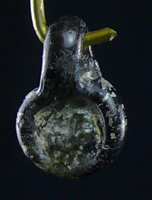 Romain byzantin - Médaillon en pâte de verre - 500 / 800 ap. J.-C. Romain byzantin - Médaillon en pâte de verre - 500 / 800 ap. J.-C.