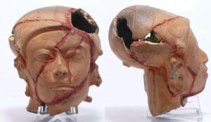 Précolombien - Equateur, culture Chorrera - Tête en terre cuite - 1500 / 500 av. J.-C.