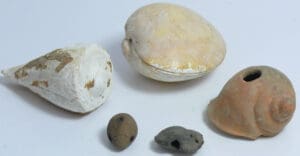 Précolombien - Equateur - Lot de 5 objets, fossiles et terres cuites  - 500 / 1500 ap. J.-C.