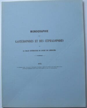Monographie des gastéropodes et des céphalopodes de la craie supérieure du Duché de Limbourg, Jonkh J. Binkhorst Van den Binkhorst, 1861 Monographie des gastéropodes et des céphalopodes de la craie supérieure du Duché de Limbourg, Jonkh J. Binkhorst Van den Binkhorst, 1861