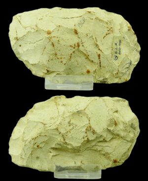 Néolithique - Biface - 6000 / 2500 ans